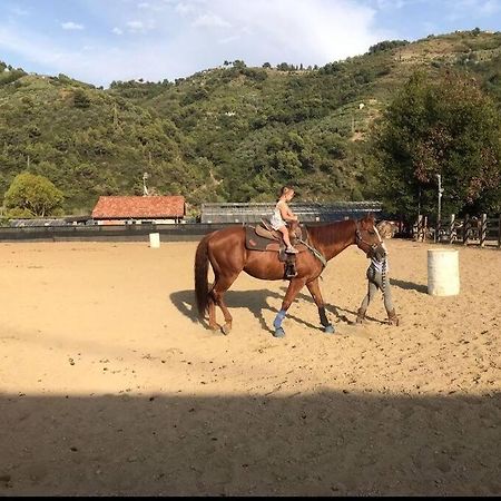 La Stalla, Casa Rustica Nel Ranch Di Cavalli 坎波罗索 外观 照片