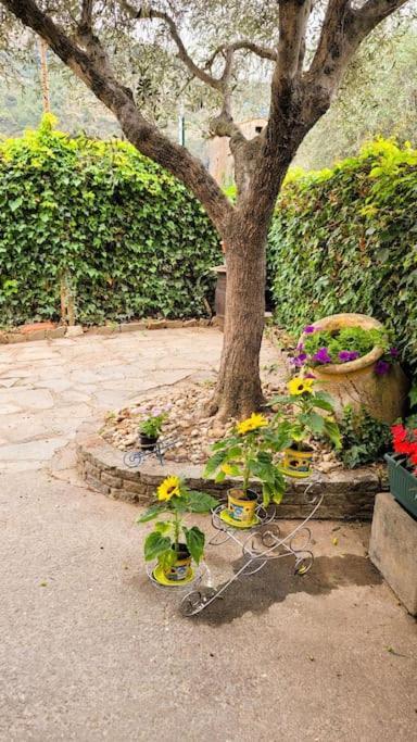 La Stalla, Casa Rustica Nel Ranch Di Cavalli 坎波罗索 外观 照片