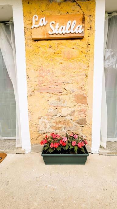 La Stalla, Casa Rustica Nel Ranch Di Cavalli 坎波罗索 外观 照片