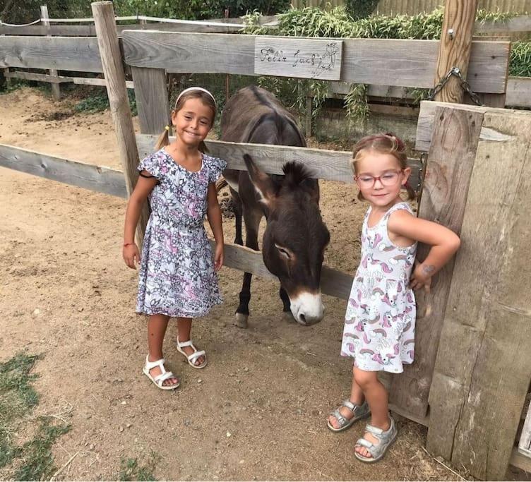 La Stalla, Casa Rustica Nel Ranch Di Cavalli 坎波罗索 外观 照片